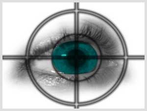 Detectives and Investigators